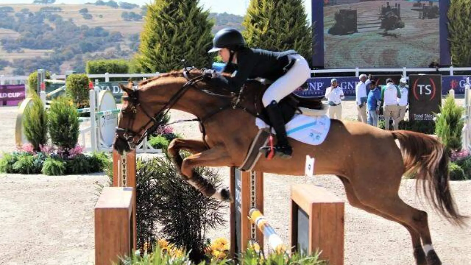 Temporada de salto en Quintas Ecuestres Haras